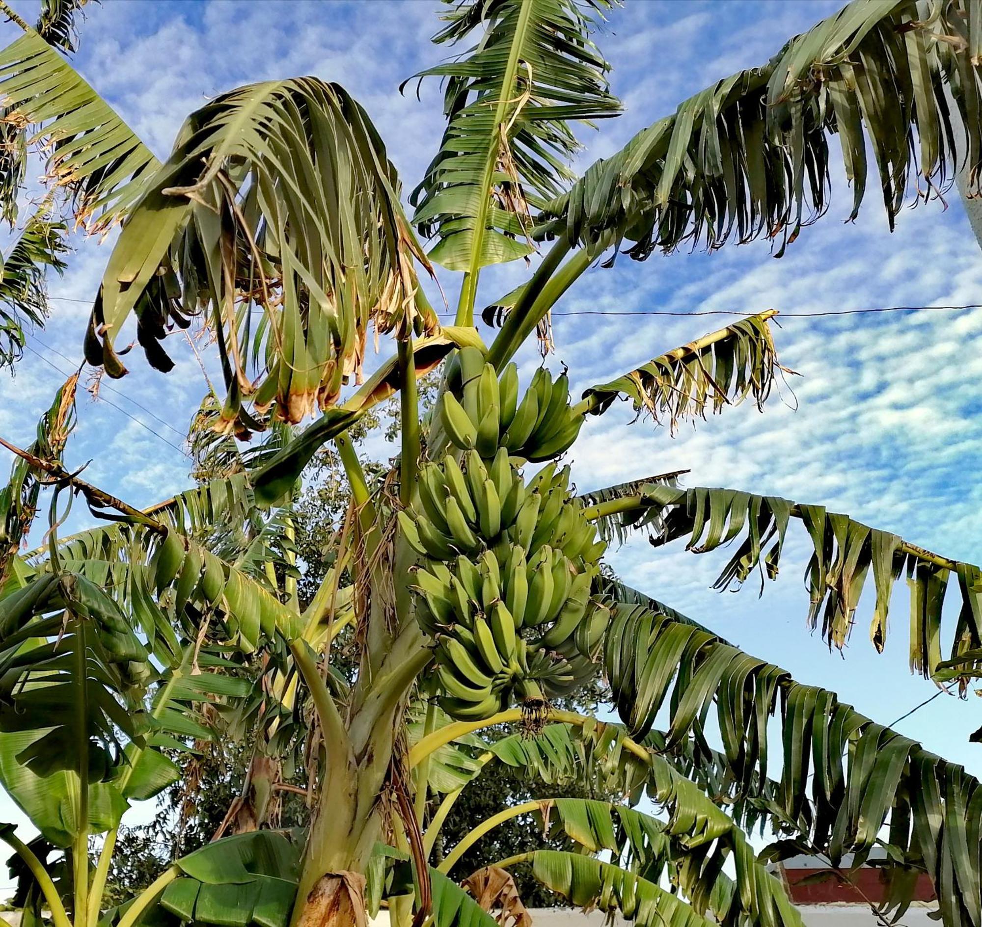 Mis Princesas En Casa Chiclana de la Frontera Dış mekan fotoğraf